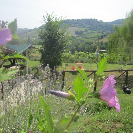 Le Spighe Agriturismo チェゼーナ エクステリア 写真