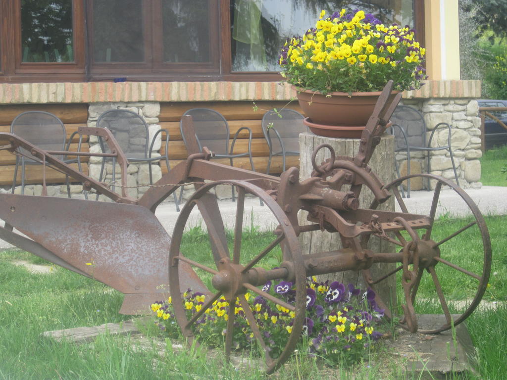 Le Spighe Agriturismo チェゼーナ エクステリア 写真