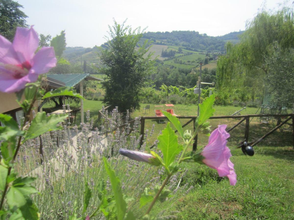 Le Spighe Agriturismo チェゼーナ エクステリア 写真