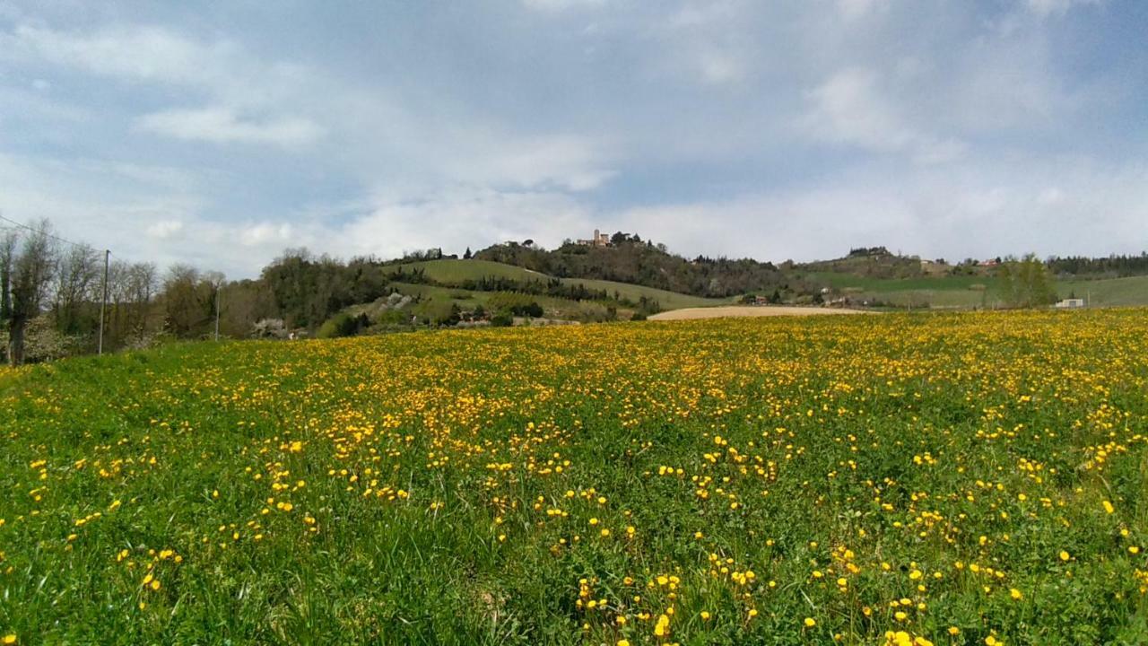 Le Spighe Agriturismo チェゼーナ エクステリア 写真