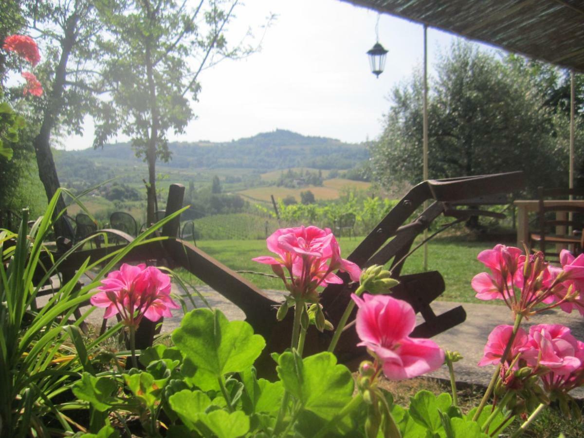 Le Spighe Agriturismo チェゼーナ エクステリア 写真
